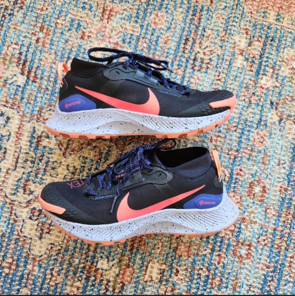 Nike Pegasus Trail 3 Gore-tex